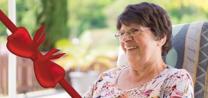 Haushaltshilfe-jung-alt